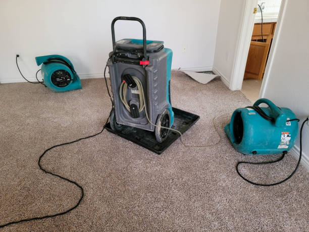 Best Flood damage cleanup  in Calvert, TX