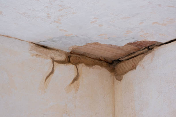 Best Water damage restoration near me  in Calvert, TX