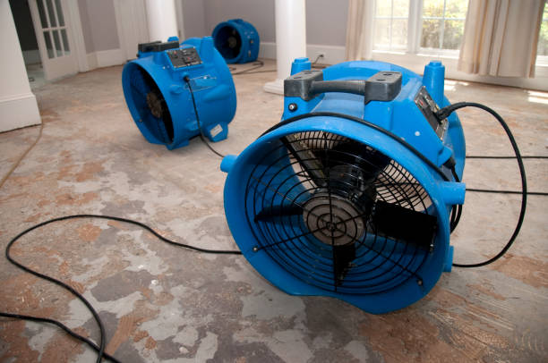 Best Local water damage restoration  in Calvert, TX