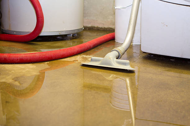 Best Water damage restoration process  in Calvert, TX