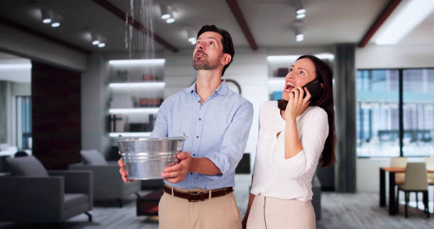 Best Mold removal after water damage  in Calvert, TX
