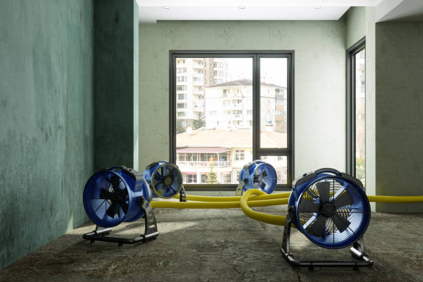 Best Professional water damage repair  in Calvert, TX